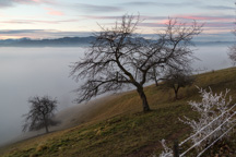 Österreich / Steiermark / St. Oswald