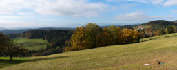 Österreich /  / Stallhofen