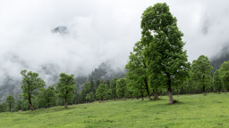 Österreich / Tirol / Ahornboden