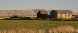 USA / Wyoming / Afton