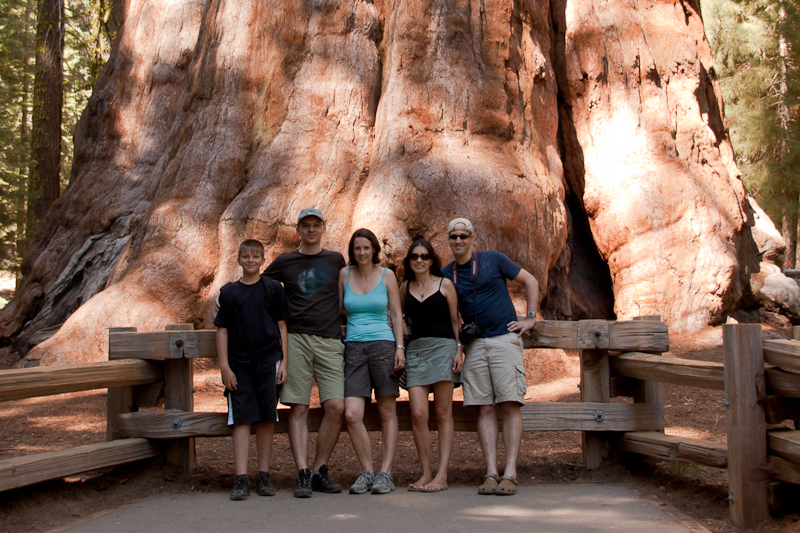 USA / Kalifornien - Sequoia National Park