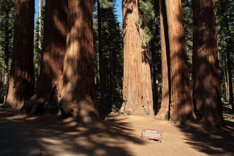 USA / Kalifornien - Sequoia National Park