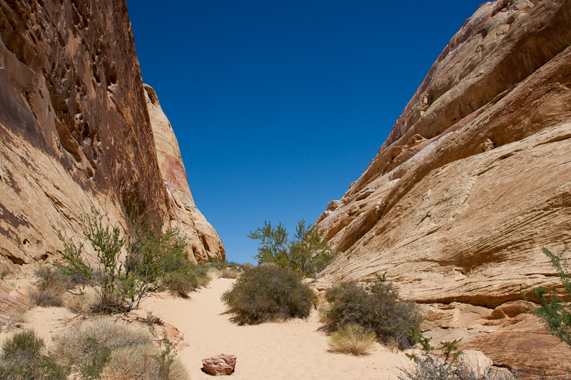 USA / Nevada - Valley of Fire