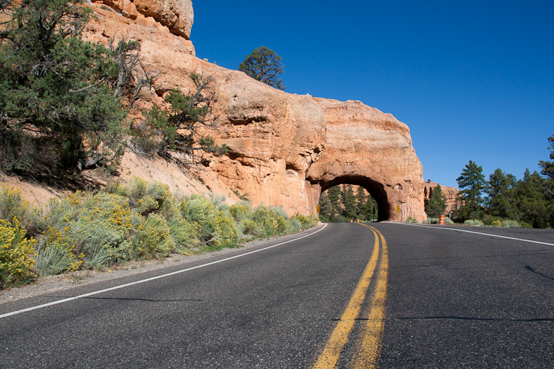 USA / Utah - Red Canyon