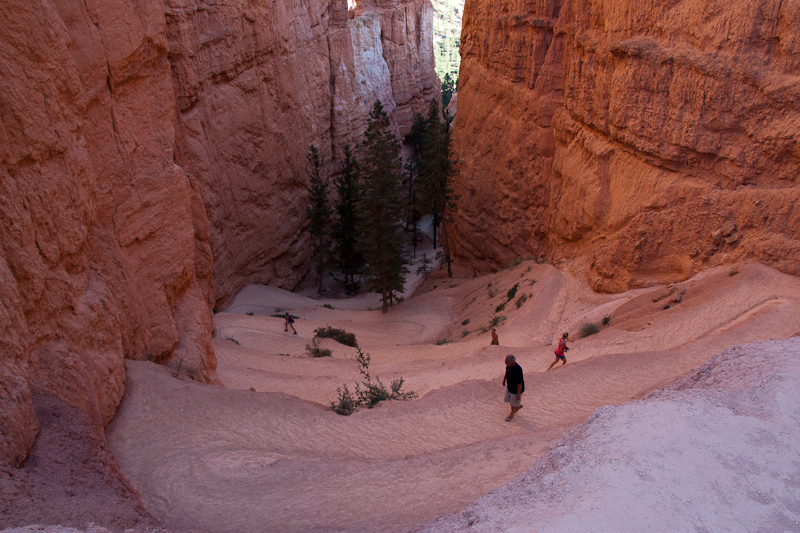 USA / Utah - Bryce Canyon