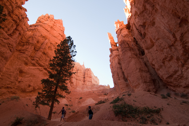 USA / Utah - Bryce Canyon