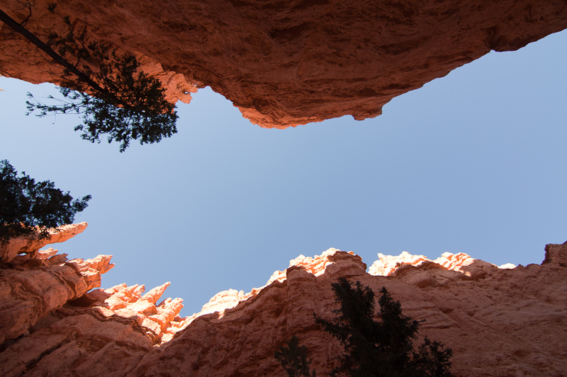 USA / Utah - Bryce Canyon