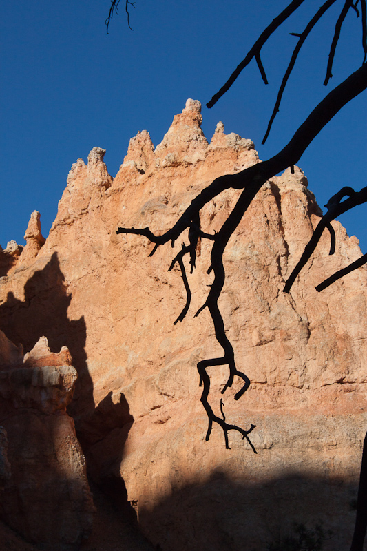 USA / Utah - Bryce Canyon