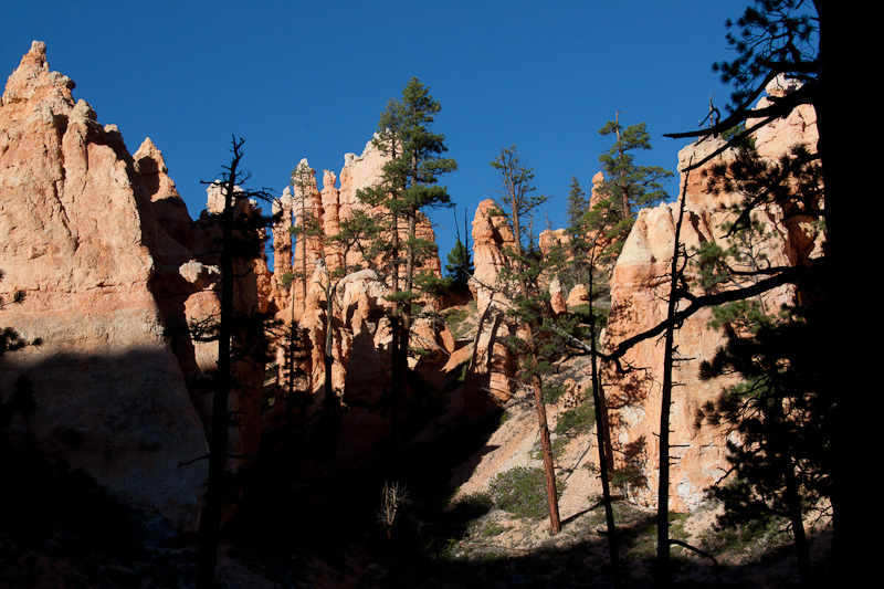 USA / Utah - Bryce Canyon