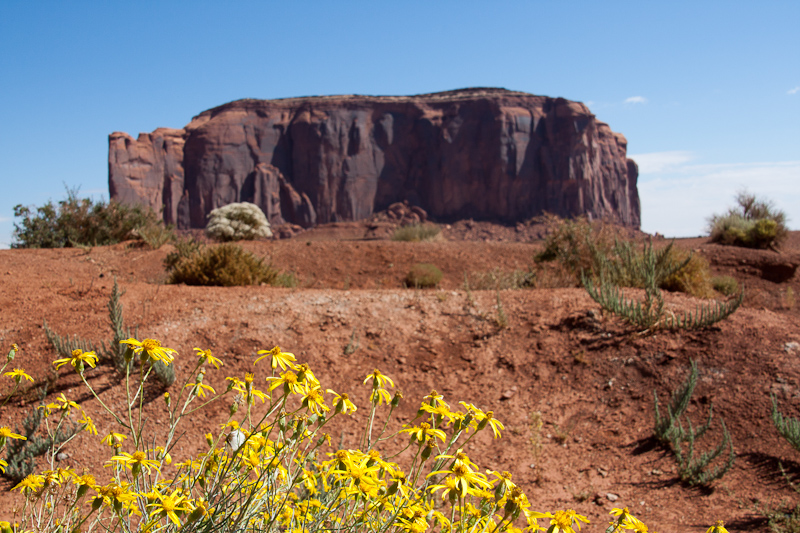 USA / Arizona - Monument Valley