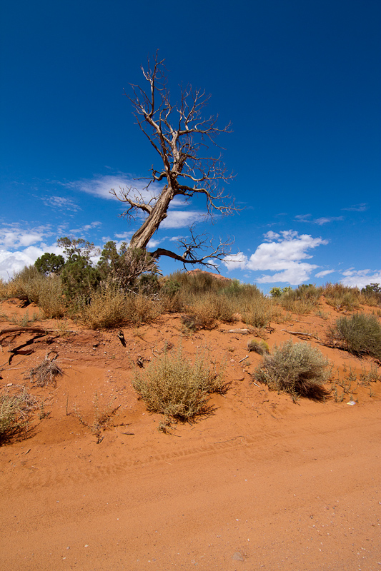 USA / Arizona - Monument Valley