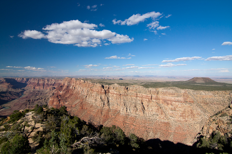 USA / Arizona - Grand Canyon