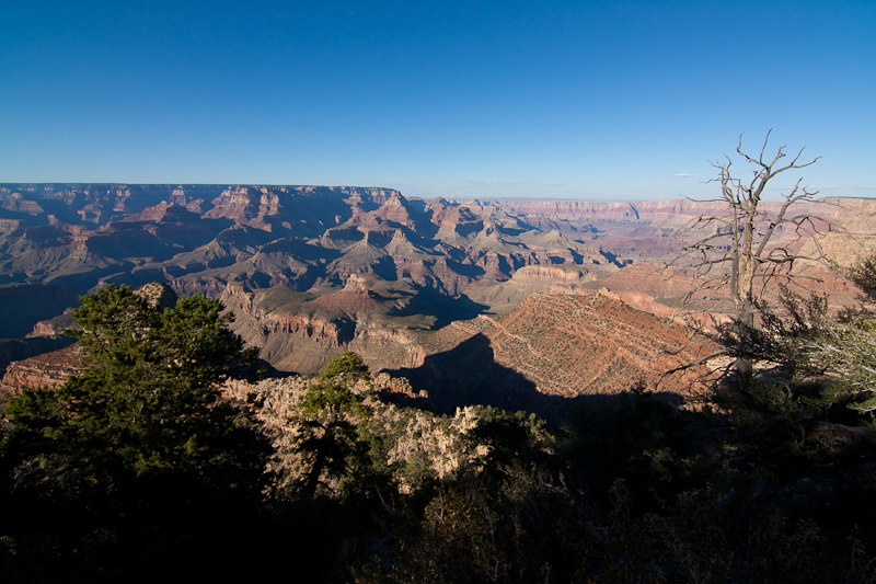 USA / Arizona - Grand Canyon